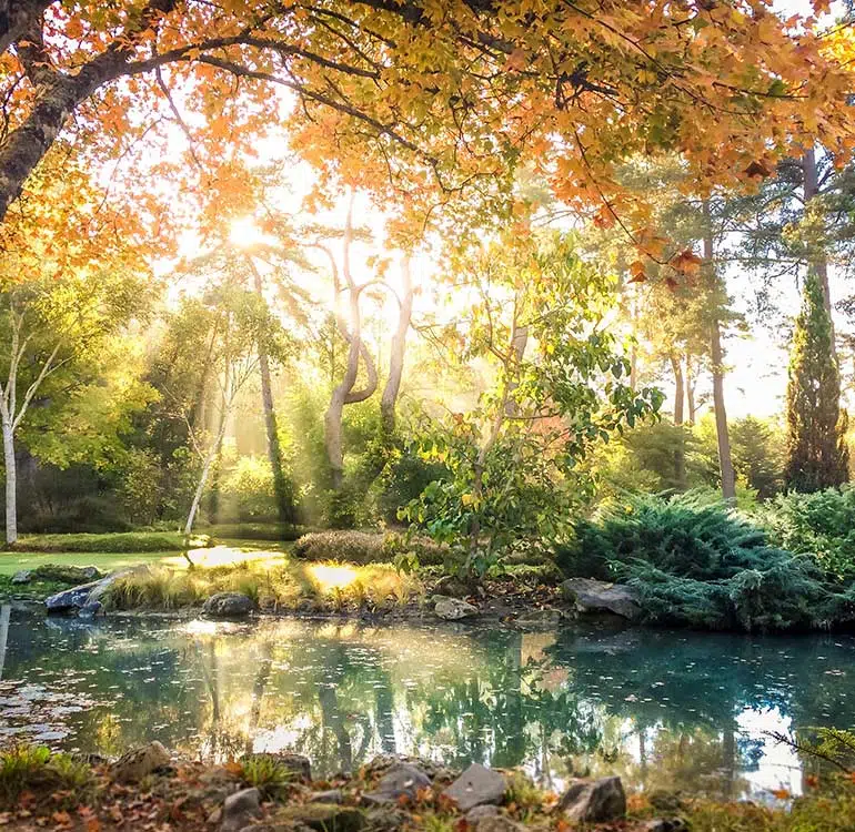 Arboretum des Grandes Bruyères à l'automne
