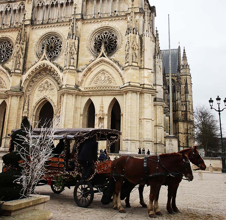 Calèche de Noêl à Orléans devant la cathédrale